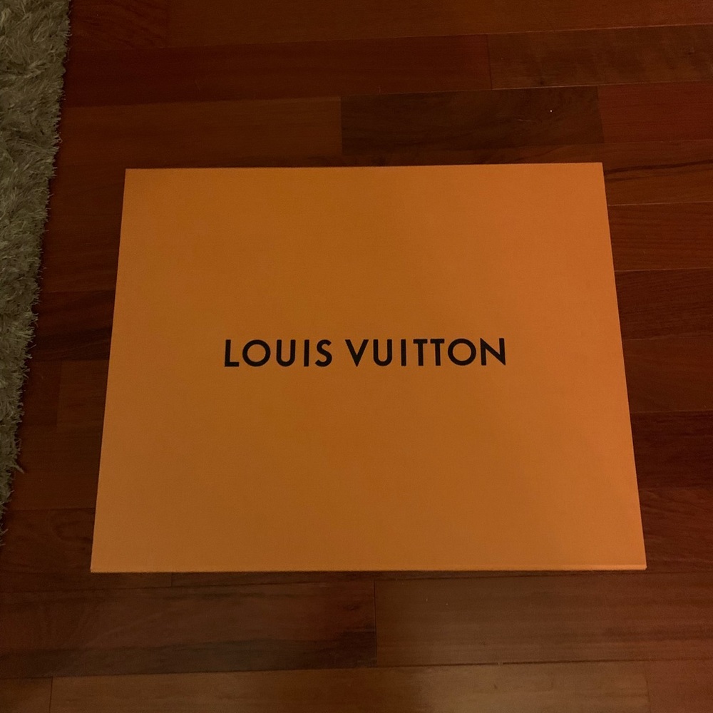 Brand new Louis Vuitton box for Large Hobo